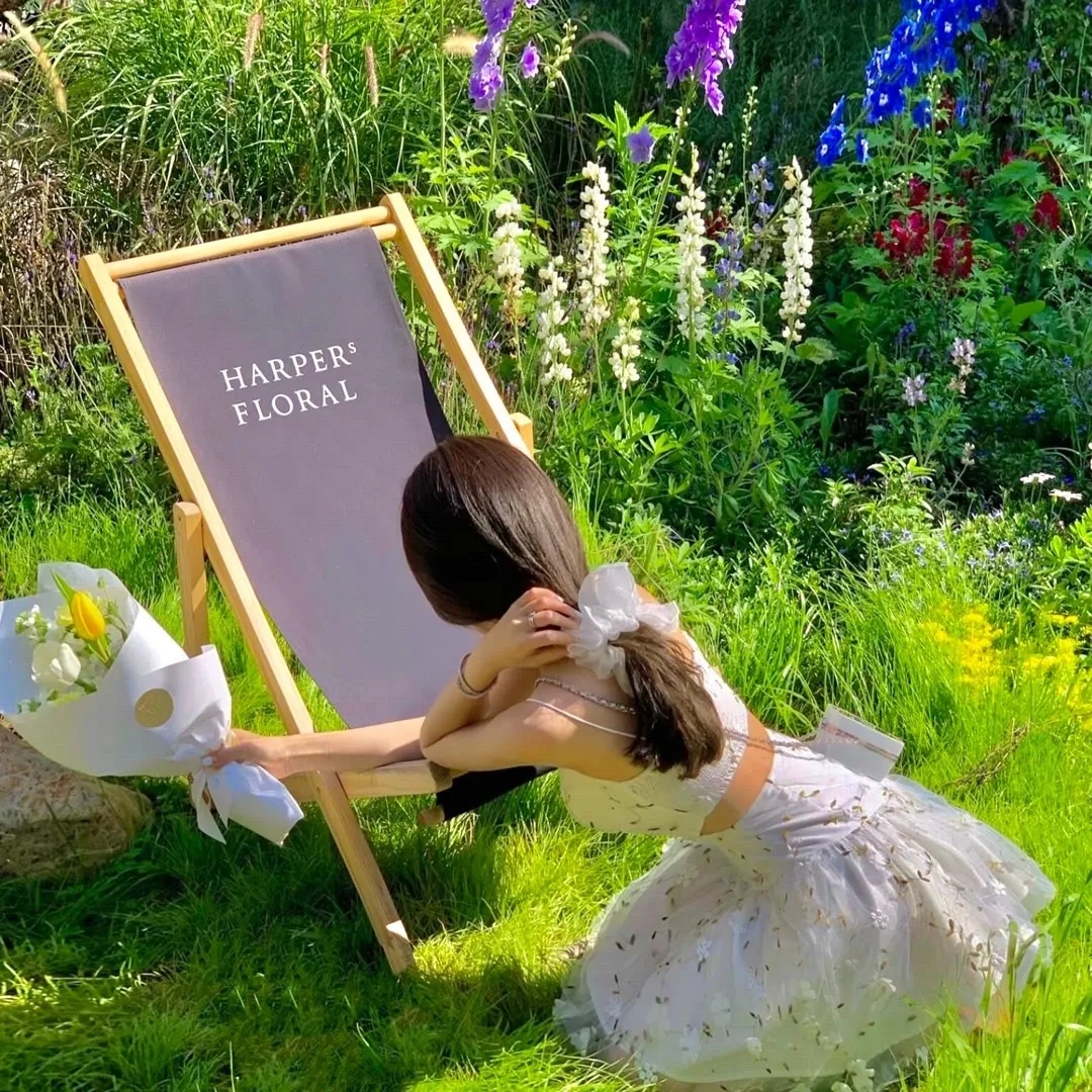 我愿南风知晚意