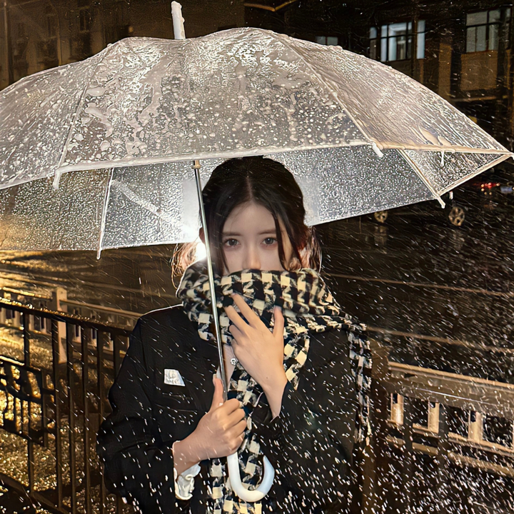 魔力女管家 暑期特别篇